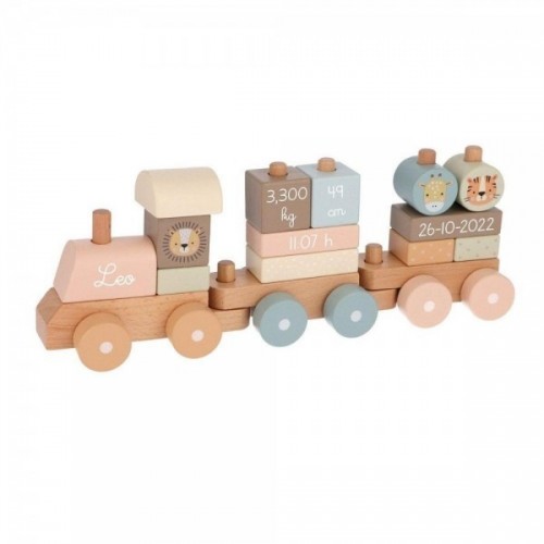 TUTETE TREN DE NACIMIENTO ZOO RO