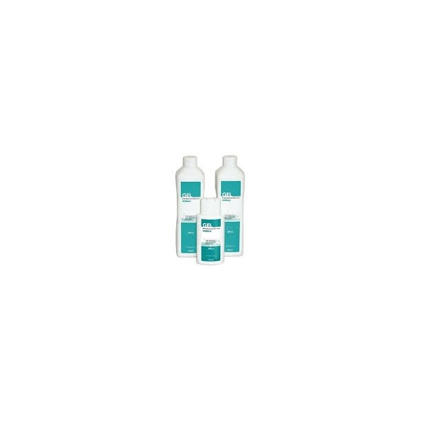 INIBSA GEL DERMATOLOGICO 2 X 1L