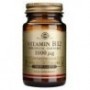 SOLGAR VITAMINA B12 1000 MCG 250 COMP MAST