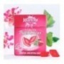 ANGELINI JUANOLA PERLAS FRESA MENTOLADA 25 G