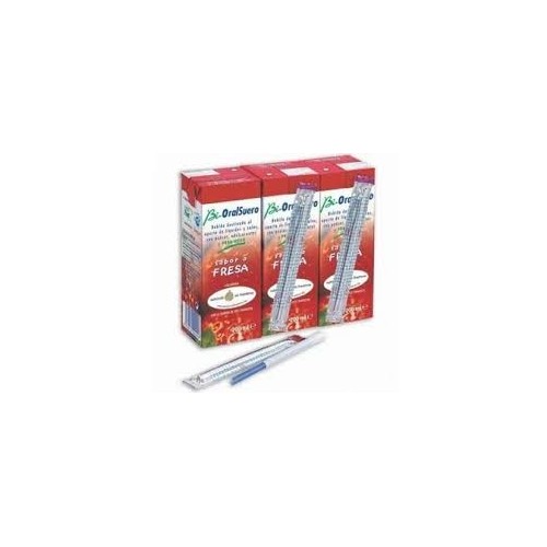 CASEN BIORALSUERO FRESA BRICKS 2 X 330 ML