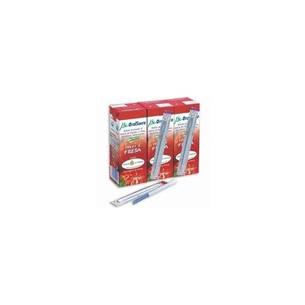 CASEN BIORALSUERO FRESA BRICKS 2 X 330 ML
