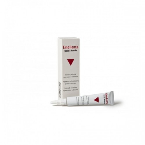 VIÑAS EMOLIENTA NASAL POMADA 10 GR (G.N.)