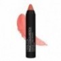CAMALEON MAGIC COLOUR STICK LABIAL MELOCOTON 4 G