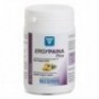 NUTERGIA ERGYPAINA PLUS 60 CAPSULAS