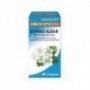 ARKOCAPSULAS ESPINO ALBAR 350 MG 48 CAPSULAS