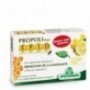 (BJ)194304SPECCHIASOL EPID COMPRIMIDOS DE MIEL Y LIMON 20CPR .